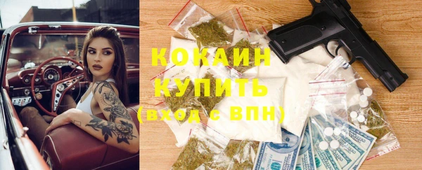 дмт Богородск
