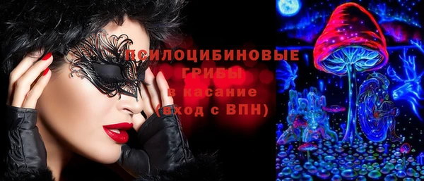 дмт Богородск