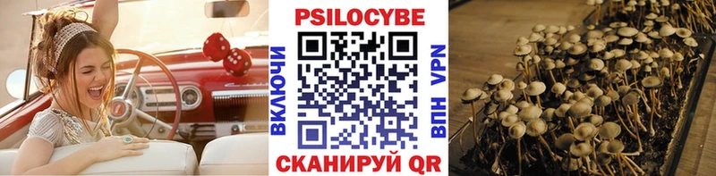 Псилоцибиновые грибы Psilocybe купить наркоту mega зеркало Северская